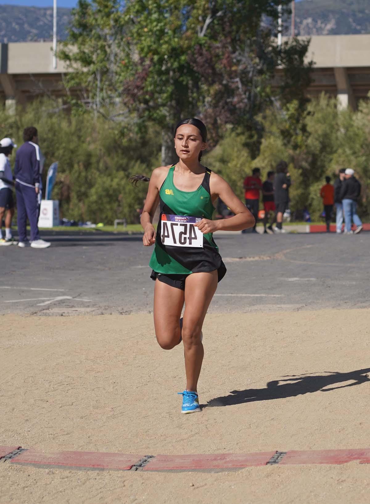 CHC students compete at Cross Country Regionals.