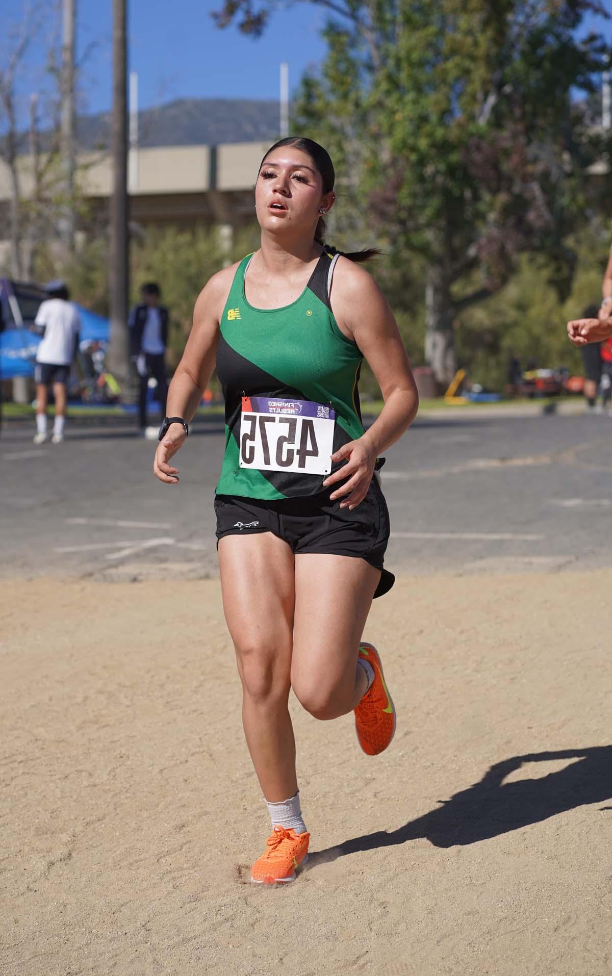 CHC students compete at Cross Country Regionals.